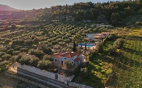 The Olive Grove Villas With Swimming Pool And Breakfast