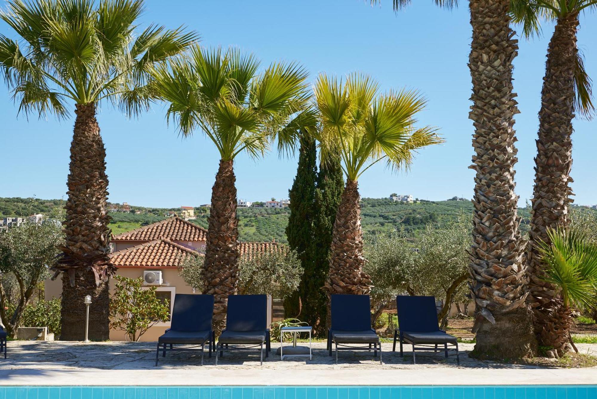 The Olive Grove Villas With Swimming Pool And Breakfast Αρχάνες Εξωτερικό φωτογραφία